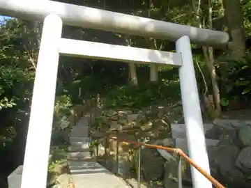 神社 < 社号不明 >の鳥居