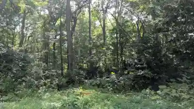 忠類神社の自然