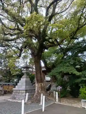加納天満宮(岐阜県)