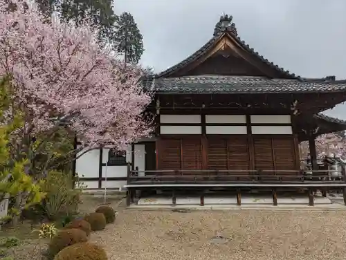 善峯寺(京都府)