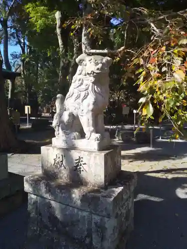 伊豆山神社の狛犬