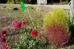 高司神社〜むすびの神の鎮まる社〜の自然