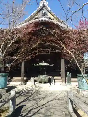 遍照院(埼玉県)