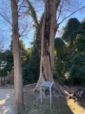 大生郷天満宮(茨城県)