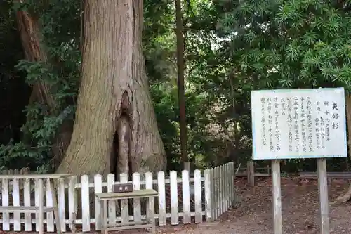 鎌数伊勢大神宮(千葉県)