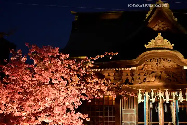 桜神宮(東京都)