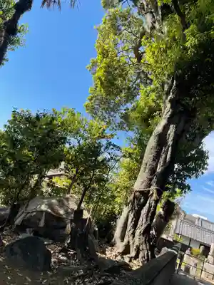 光林寺のその他建物