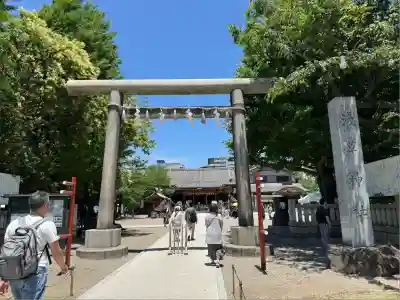 浅草神社の鳥居