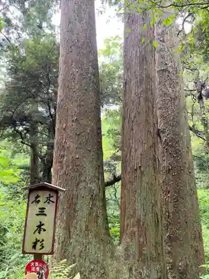 笠森寺(千葉県)