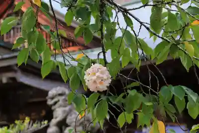 十二所神社(大子町大子)の授与品その他