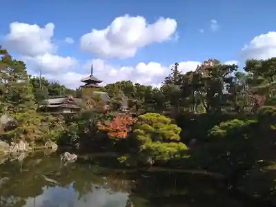 仁和寺(京都府)