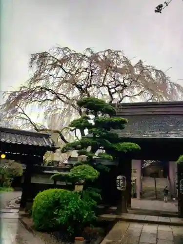 常圓寺(東京都)
