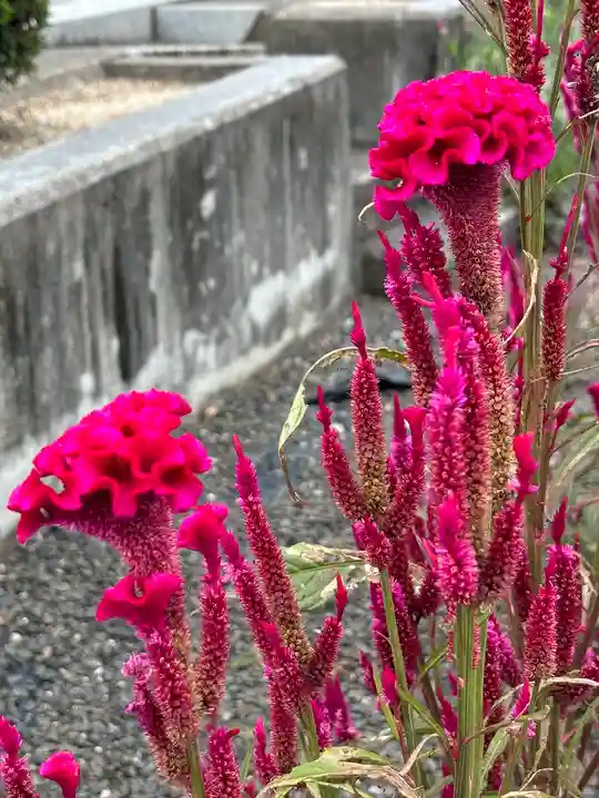 多田幸寺の自然