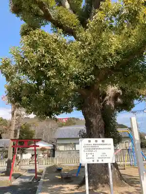 大歳神社(兵庫県)