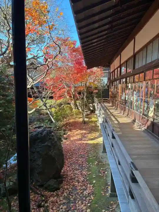 禅林寺(永観堂)の{uncategorized: "未分類", other: "その他", undefined: "問題あり", building: "その他建物", grave: "お墓", sacred_gate: "鳥居", guardian: "狛犬", statue: "像", buddha: "仏像", history: "歴史", nature: "自然", garden: "庭園", animal: "動物", pagoda: "塔", temizu: "手水舎", mountain_gate: "山門・神門", sanctuary: "本殿・本堂", subordinate: "末社・摂社", art: "芸術", scenery: "景色", jizo: "地蔵", ema: "絵馬", goshuin: "御朱印", omikuji: "おみくじ", items: "授与品その他", amulet: "お守り", goshuincho: "御朱印帳", eats: "食事", festival: "お祭り", votive_dance: "神楽", shichigosan: "七五三参", wedding: "結婚式", experience: "体験その他", initially: "初詣", around: "周辺", anti_infection: "感染症対策"}