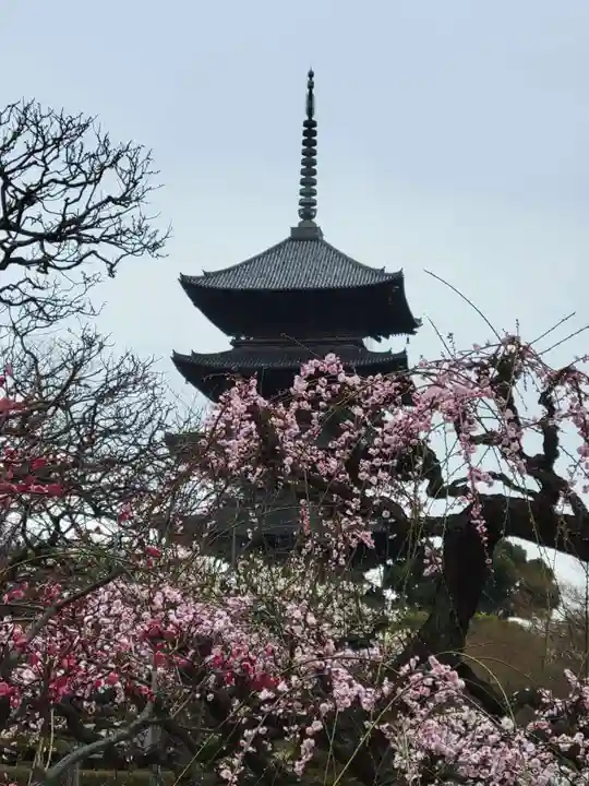 東寺(教王護国寺)の塔