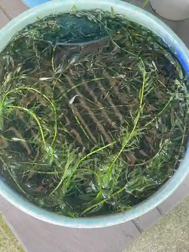銀杏岡八幡神社(東京都)