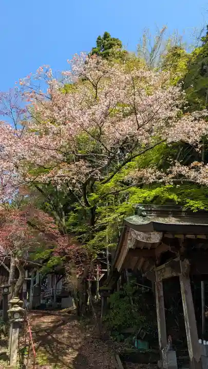 金剛頂院(福岡県)