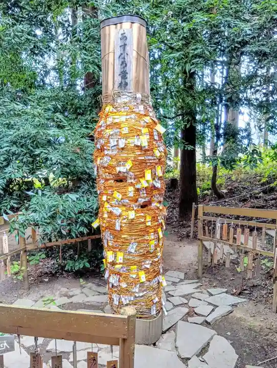 下野 星宮神社(栃木県)