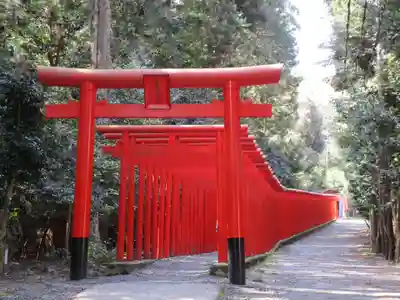 南宮稲荷大明神(岐阜県)