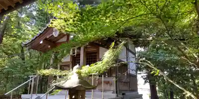 若宮八幡宮(京都府)