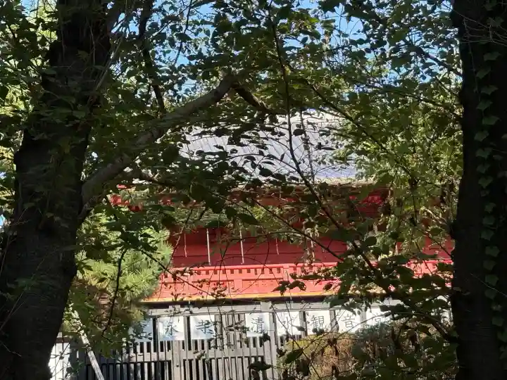 清水観音堂(東京都)