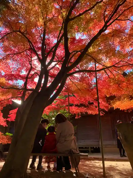 滑川神社 - 仕事と子どもの守り神(福島県)
