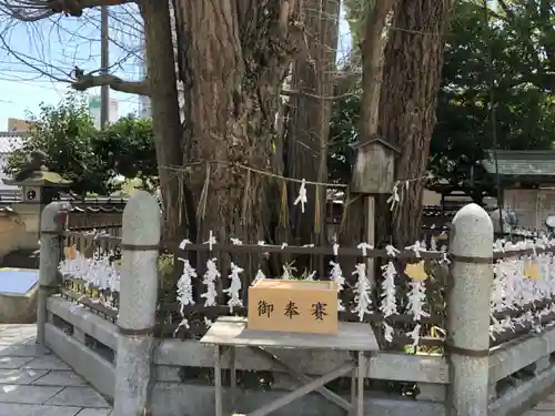 二日市八幡宮の自然