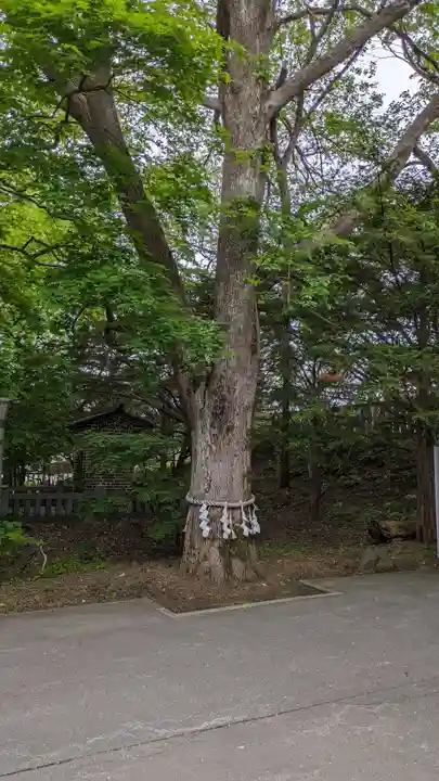 鳥取神社(北海道)