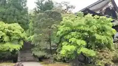 御寺 泉涌寺の庭園