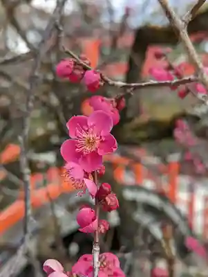 賀茂御祖神社（下鴨神社）(京都府)