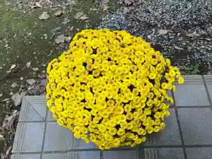 大宮温泉神社(栃木県)(2022年11月01日(火) 08時11分33秒投稿)