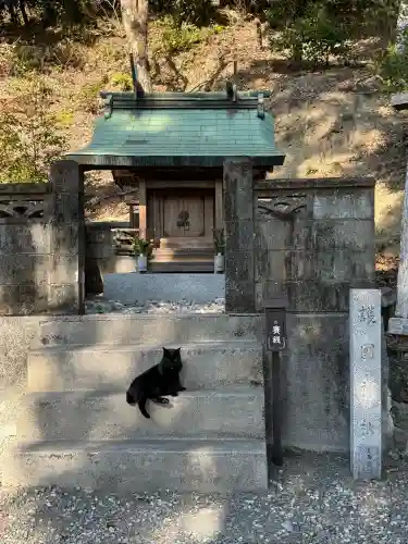 上岩出神社の{uncategorized: "未分類", other: "その他", undefined: "問題あり", building: "その他建物", grave: "お墓", sacred_gate: "鳥居", guardian: "狛犬", statue: "像", buddha: "仏像", history: "歴史", nature: "自然", garden: "庭園", animal: "動物", pagoda: "塔", temizu: "手水舎", mountain_gate: "山門・神門", sanctuary: "本殿・本堂", subordinate: "末社・摂社", art: "芸術", scenery: "景色", jizo: "地蔵", ema: "絵馬", goshuin: "御朱印", omikuji: "おみくじ", items: "授与品その他", amulet: "お守り", goshuincho: "御朱印帳", eats: "食事", festival: "お祭り", votive_dance: "神楽", shichigosan: "七五三参", wedding: "結婚式", experience: "体験その他", initially: "初詣", around: "周辺", anti_infection: "感染症対策"}
