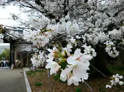 豊國神社(大阪府)
