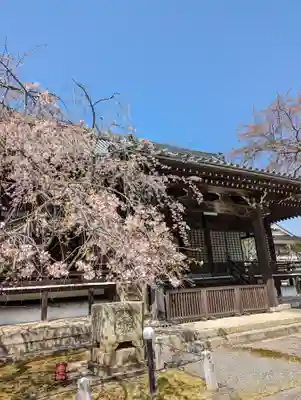 妙満寺(京都府)