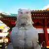 神田神社(神田明神)の狛犬