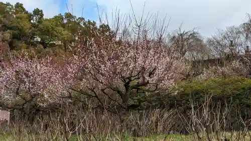  智積院(京都府)