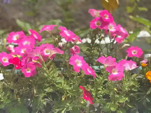 聖光寺(福岡県)