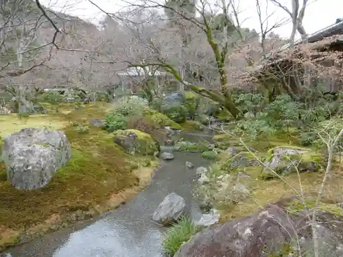 宝厳院の庭園