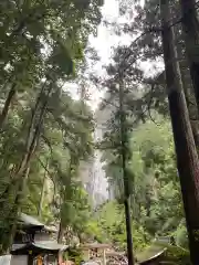 熊野那智大社の建物その他