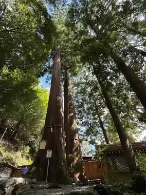 丹生川上神社（中社）(奈良県)