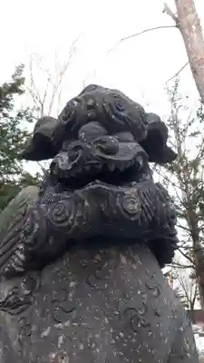 新琴似神社の狛犬