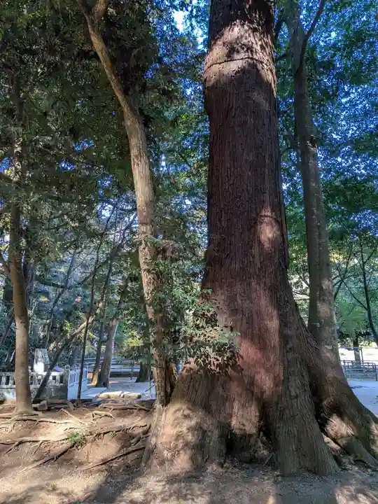 鹿島神宮(茨城県)