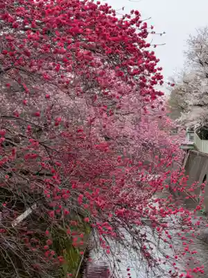 下高井戸八幡神社(東京都)