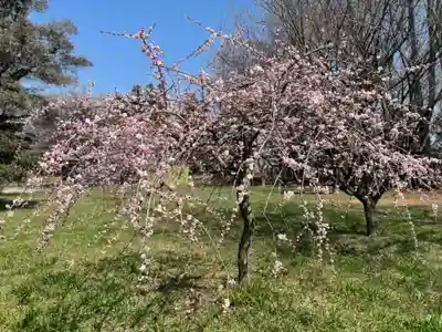 東持寺(茨城県)
