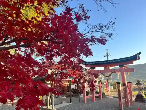 宝来山神社(和歌山県)