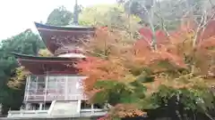 法輪寺の塔