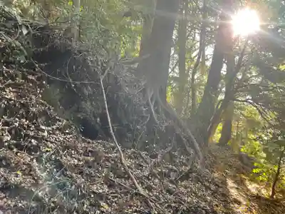 十二天神社の自然