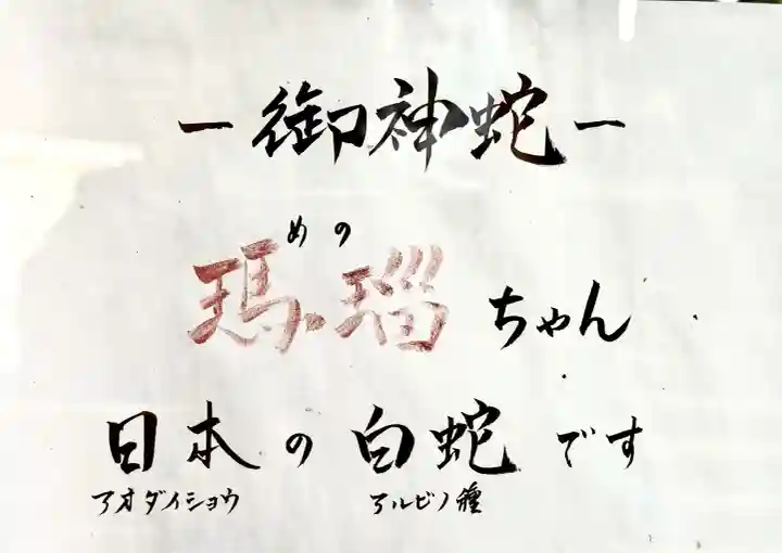 坪沼八幡神社の{uncategorized: "未分類", other: "その他", undefined: "問題あり", building: "その他建物", grave: "お墓", sacred_gate: "鳥居", guardian: "狛犬", statue: "像", buddha: "仏像", history: "歴史", nature: "自然", garden: "庭園", animal: "動物", pagoda: "塔", temizu: "手水舎", mountain_gate: "山門・神門", sanctuary: "本殿・本堂", subordinate: "末社・摂社", art: "芸術", scenery: "景色", jizo: "地蔵", ema: "絵馬", goshuin: "御朱印", omikuji: "おみくじ", items: "授与品その他", amulet: "お守り", goshuincho: "御朱印帳", eats: "食事", festival: "お祭り", votive_dance: "神楽", shichigosan: "七五三参", wedding: "結婚式", experience: "体験その他", initially: "初詣", around: "周辺", anti_infection: "感染症対策"}