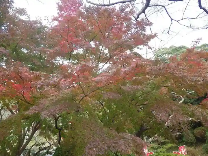 瑞松庵(山口県)